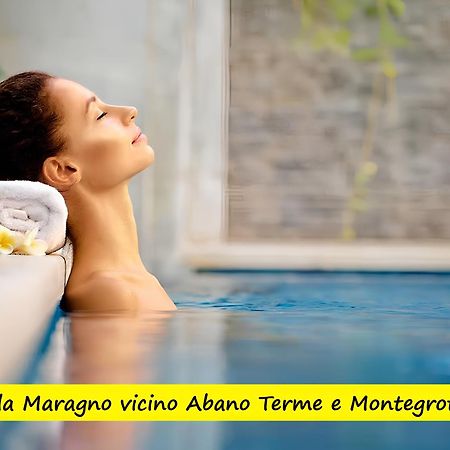 Villa Maragno Vicino Abano Terme 파도바 외부 사진